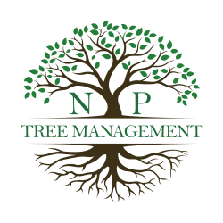 NPTM_col.250x250